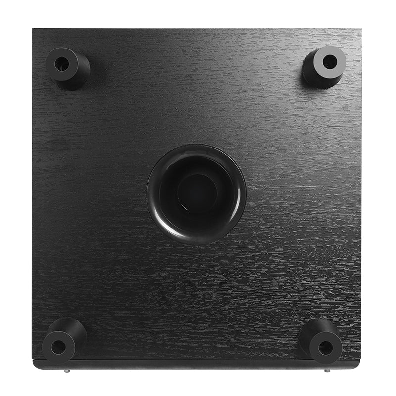 Subwoofer Activo Hs 100 Watts